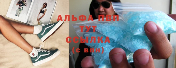 хмурый Белокуриха