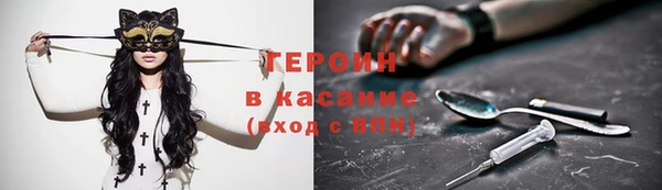 хмурый Белокуриха