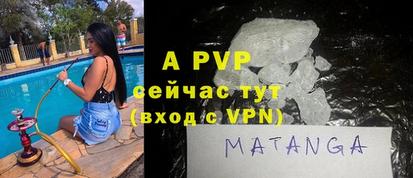 хмурый Белокуриха