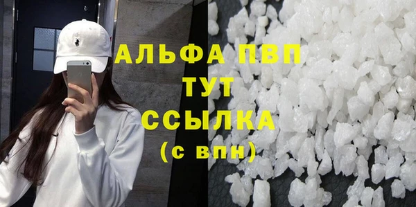 хмурый Белокуриха