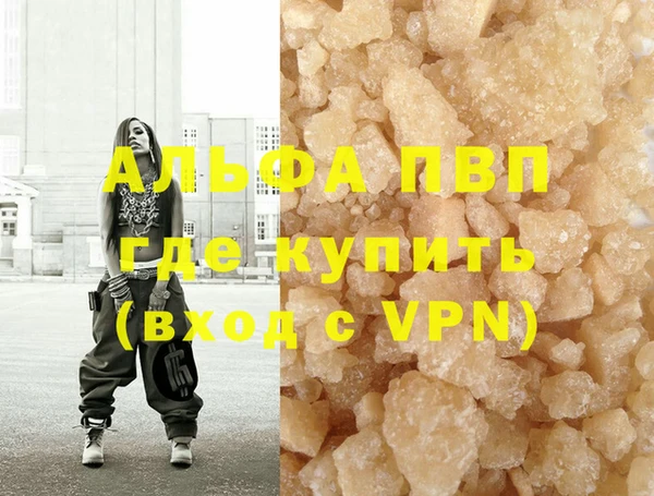 хмурый Белокуриха