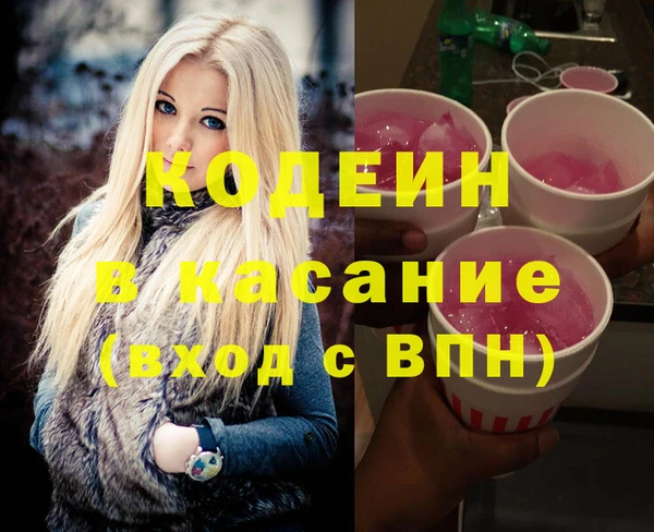 хмурый Белокуриха