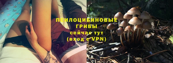 хмурый Белокуриха