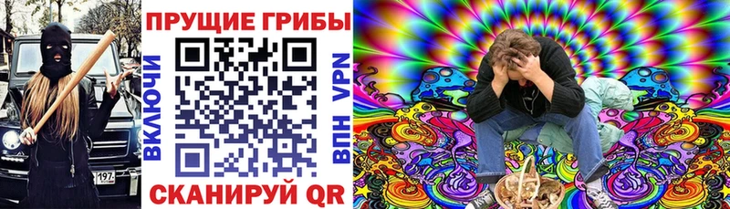 Псилоцибиновые грибы мицелий  Корсаков 